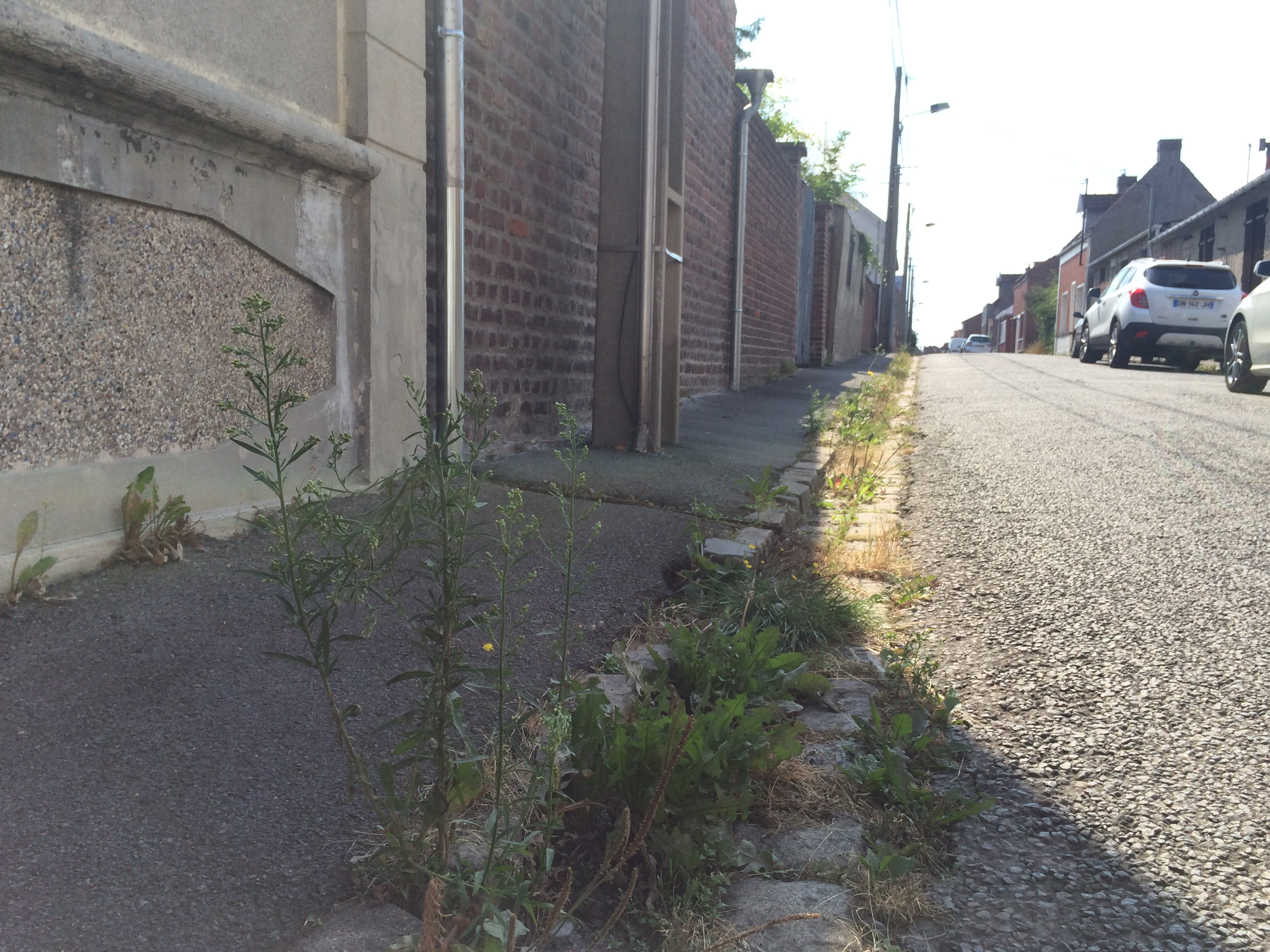 Trottoirs et caniveaux
