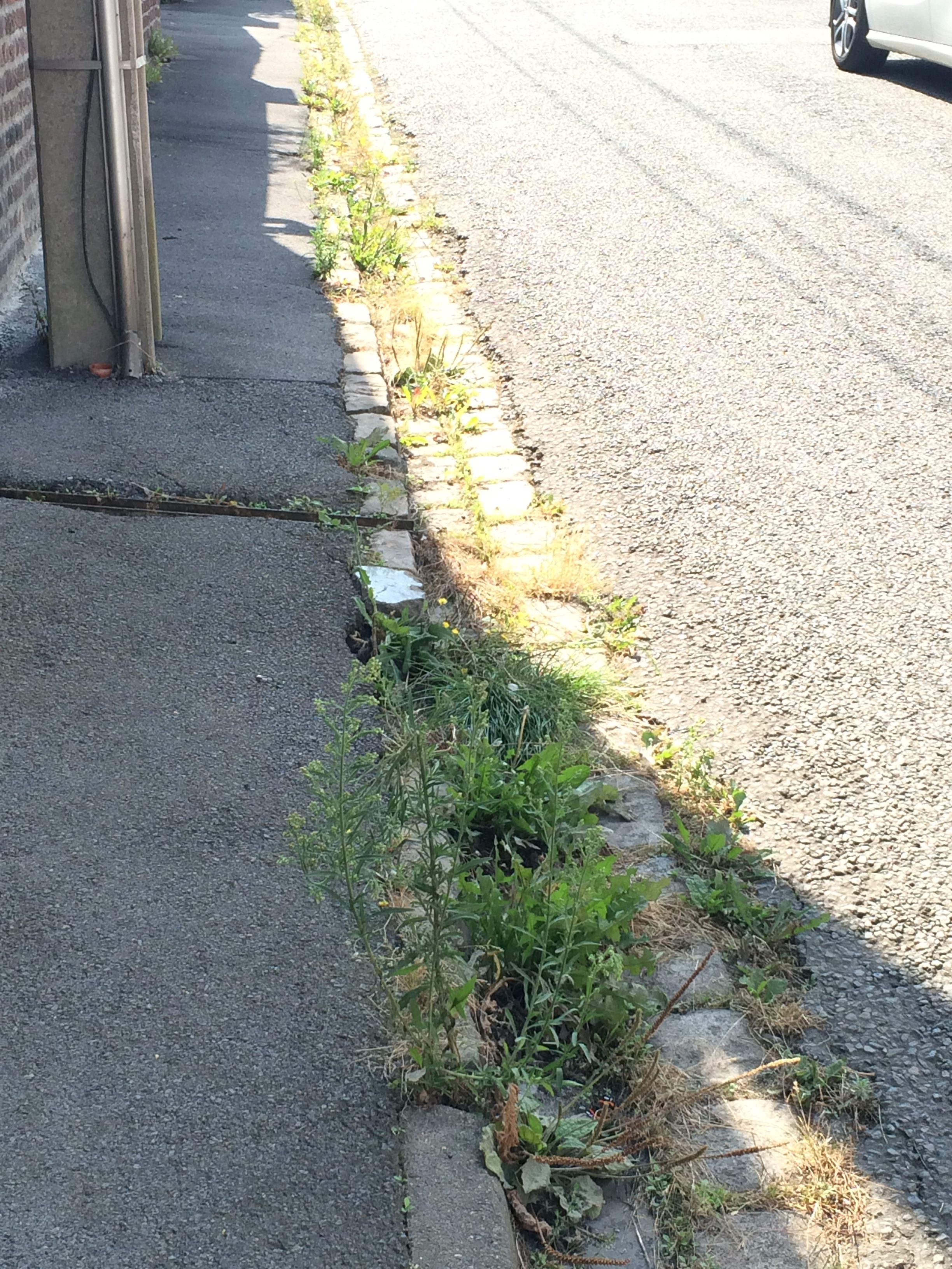 Trottoirs et caniveaux