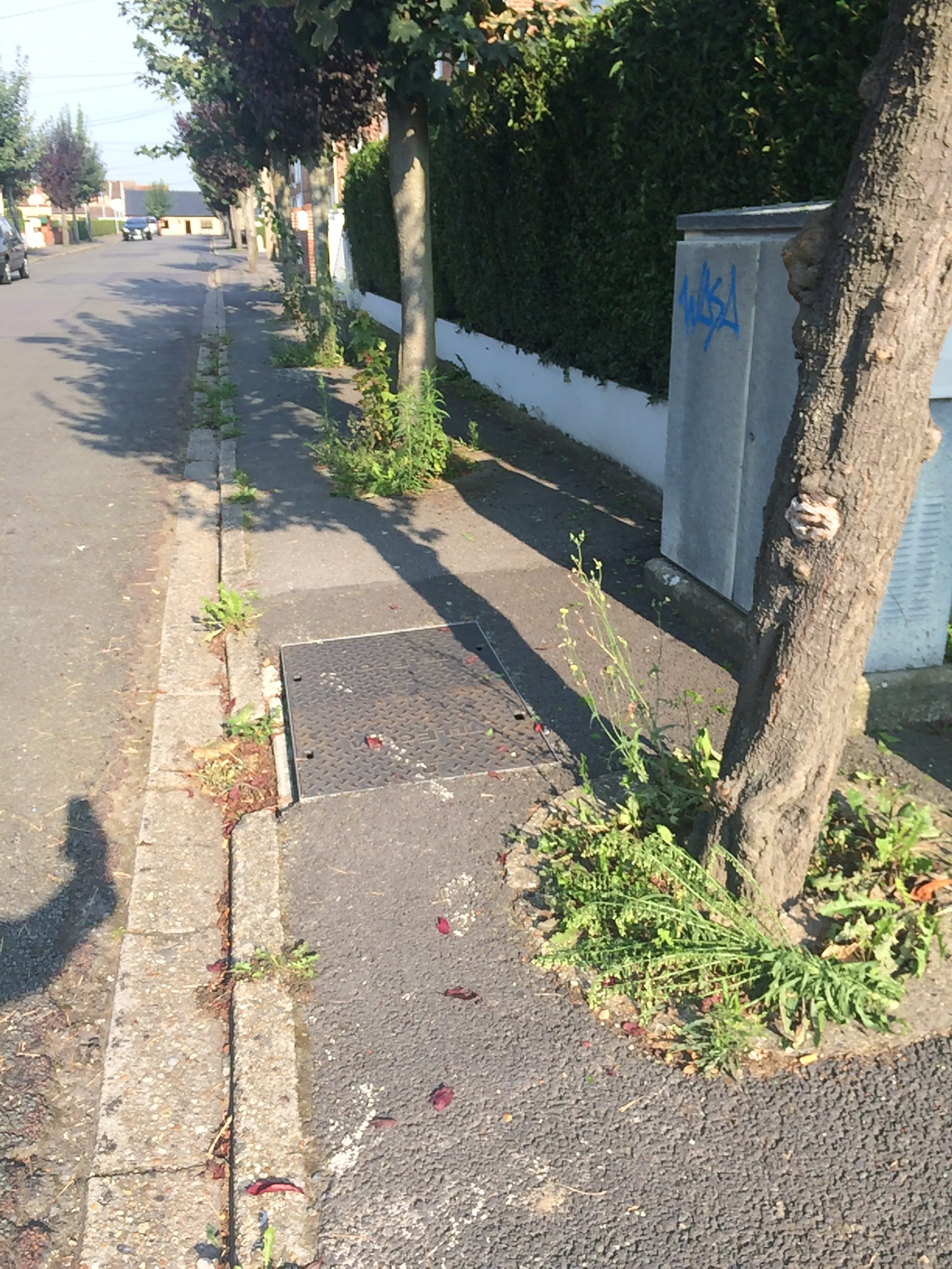 Trottoirs et caniveaux