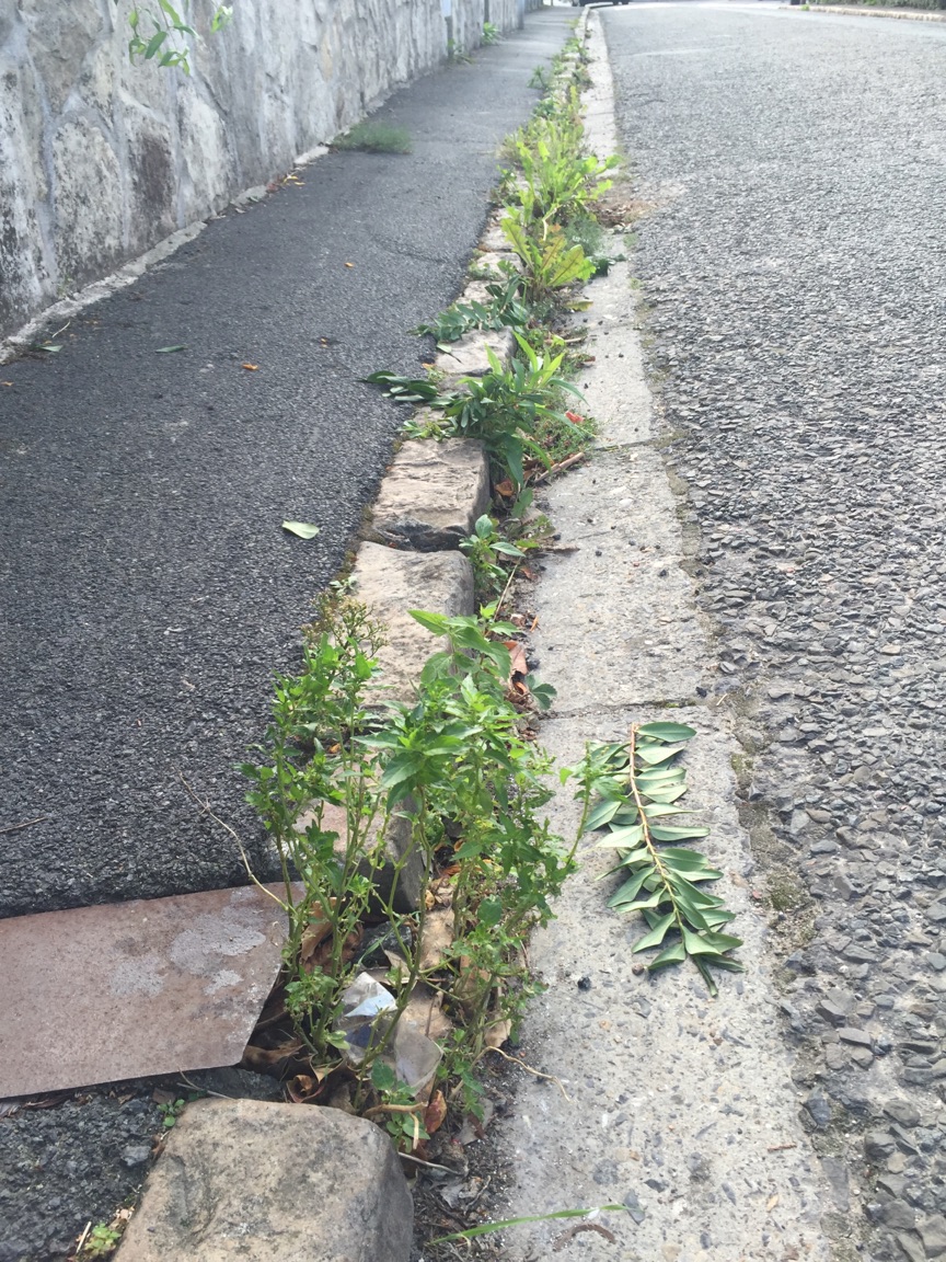 Trottoirs et caniveaux