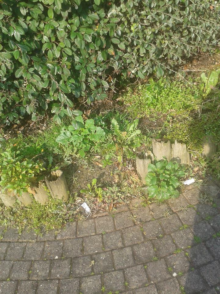 L'état des trottoirs...