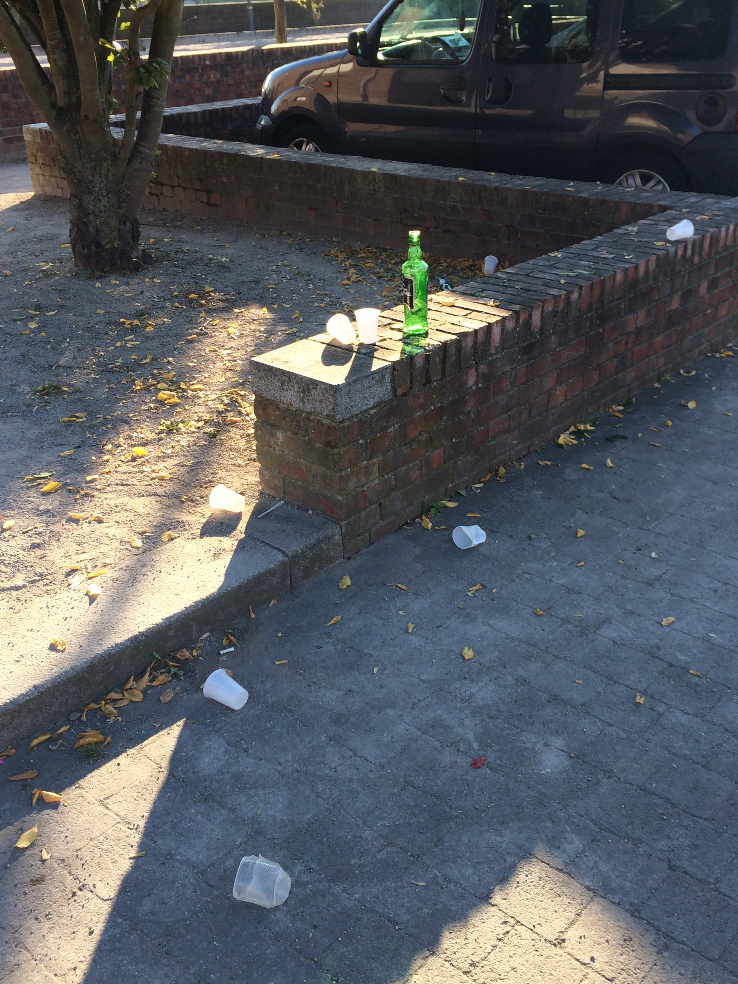 Place basse (espace piétonnier)