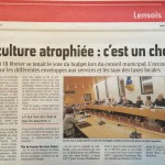 Conseils municipaux