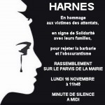 HARNES